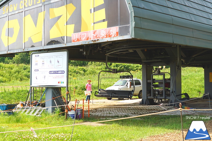 北海道最大級、213万輪のゆりの花！『オーンズ春香山ゆり園』